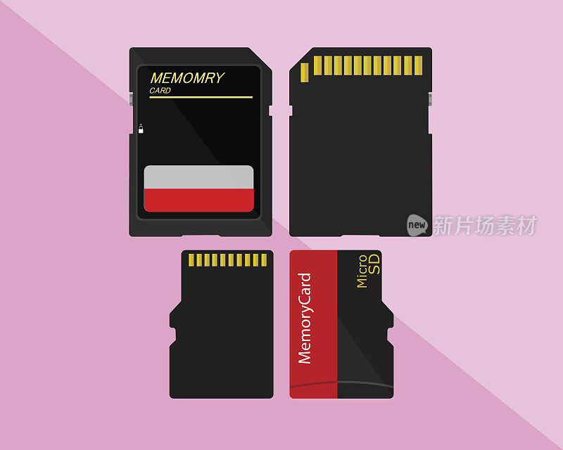 粉红色背景上的存储卡，SD卡和Micro SD卡。